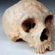 What could give modern humans an edge over Neanderthals?