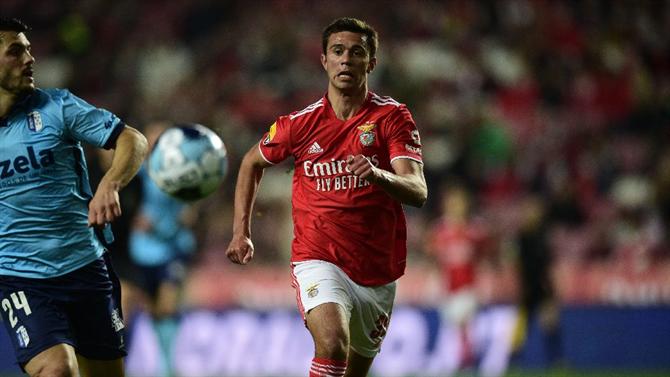 BALL - "It will be a star": Joao Alves and Cesar Brito evaluate Enrique Araujo (Benfica)