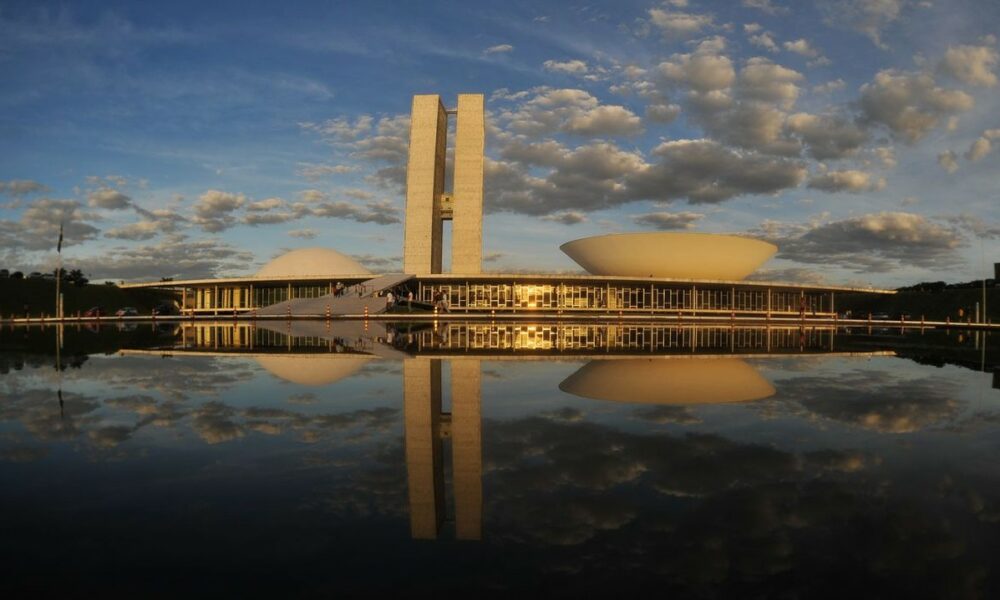 Only 8% of new names in politics in the elected Congress |  Brazil