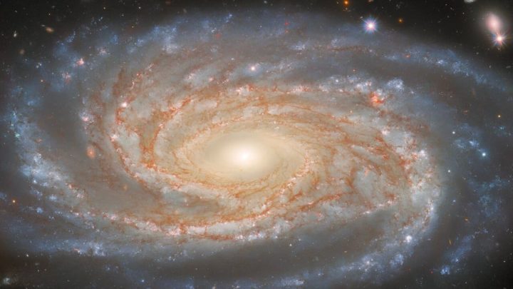 Image of the galaxy NGC 7038 taken by the Hubble telescope