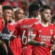BALL - Do Benfica fans consider Roger Schmidt an idol?  Coach's response and warning (Benfica)
