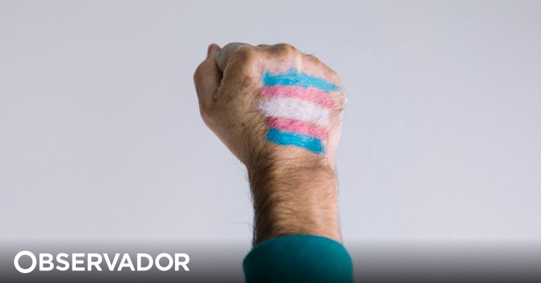 Portuguese researcher publishes dissertation on transgender people in children's literature – Observer