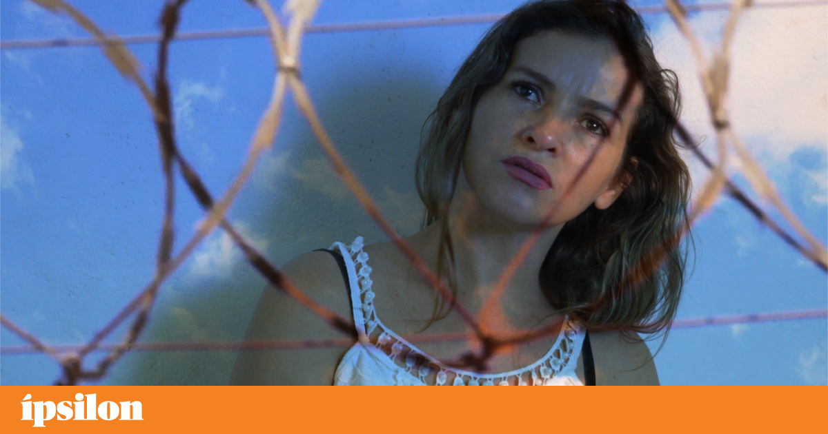 FESTin returns to distribute Portuguese-language cinema worldwide |  Cinema