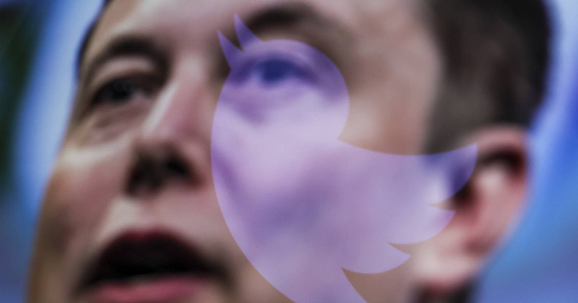 “Freedom of speech, but inaccessibility”: Twitter made “secret blacklists” and limited the visibility of accounts and topics
